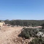 Vacanze Mare E Montagna