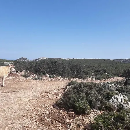 Vacanze Mare E Montagna